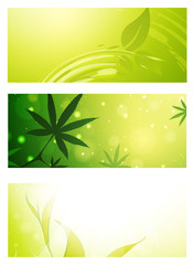 Green Eco Banner Collection