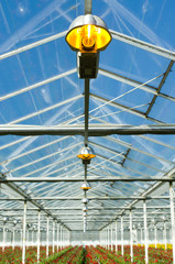 commercial greenhouse
