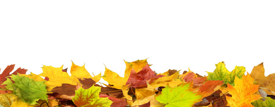 Herbst 71