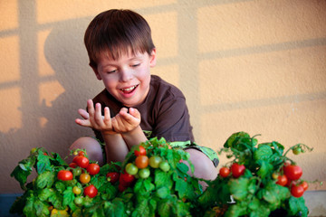 Cute little boy with homegrown cherry tomatoes