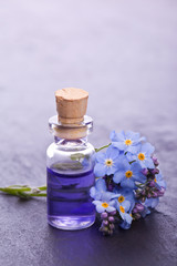 Obraz na płótnie Canvas myosotis wildflower natural aromatherapy essence