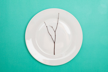 dish decorating with branch of tree, art concept