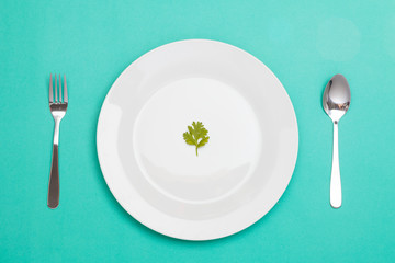 spoon fork and dish decorated with fennel