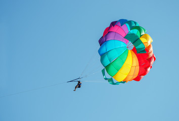 One male parasailing