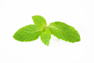 peper mint