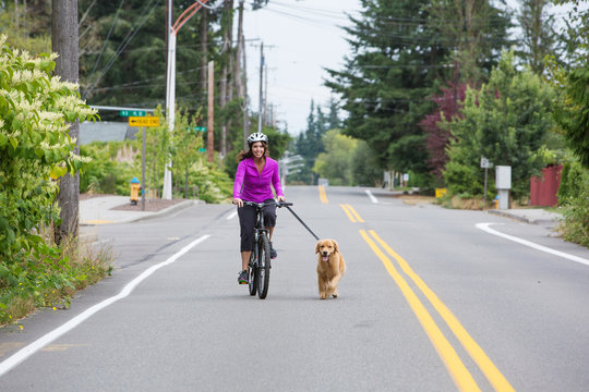 Woman Riding Bike With A Dog