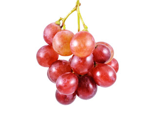 Red grape isolated