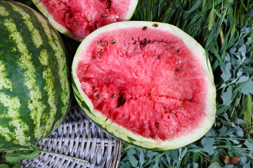 Ripe watermelons on wicker tray on grass