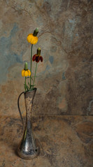 Wild flowers in an antique silver vase with a slate background