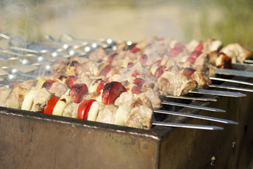 Pork shashlik