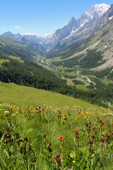 Papier Peint photo Lavable Mont Blanc Ferret Valley covered by flowers and Mont Blanc