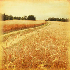 Fototapety  Droga krajowa w polu pszenicy. Styl grunge i retro.