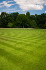 Obraz premium Lazienki Park