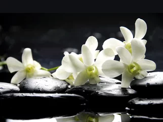 Foto op Plexiglas Set tak witte orchidee met therapiestenen © Mee Ting