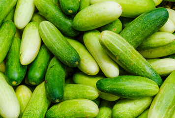 Green Cucumbers