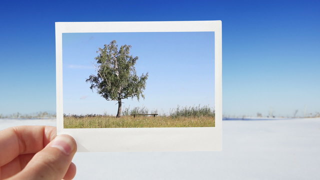 Changing winter into summer