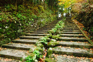 Pathway through the autumn forest