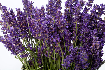 Naklejka premium Lavender isolated on white background
