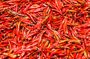 Red Chili peppers background