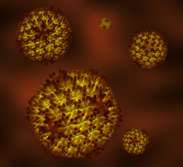 molecular model of avian virus
