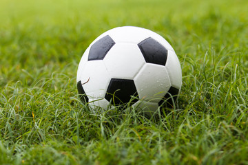 Fototapeta premium Soccer ball