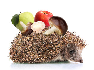 Hedgehog with apples and mushrooms isolated on white