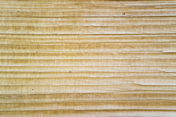 wood texture