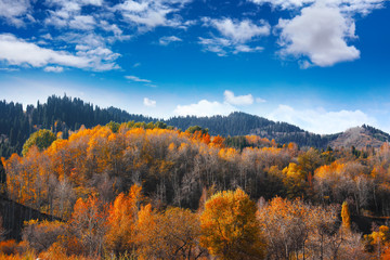 Fototapeta premium Autumn landscape in the mountains