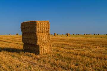 Hay Bales
