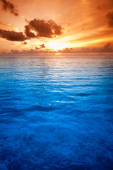 Obraz premium Tropical blue sea water in Maldives