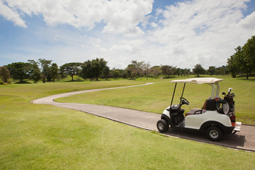 Golf Cart on the Part in Golf Course