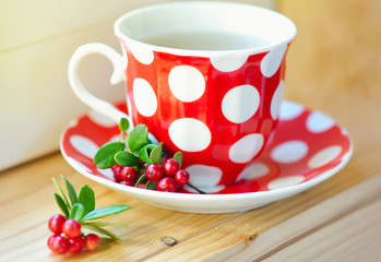 Cowberry (Vaccinium vitis-idaea) tea