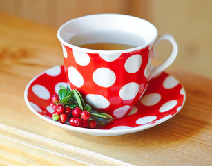 Cowberry (Vaccinium vitis-idaea) tea
