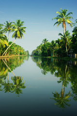 backwaters of Kerala, India - 55565968