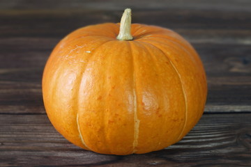 orange pumpkin