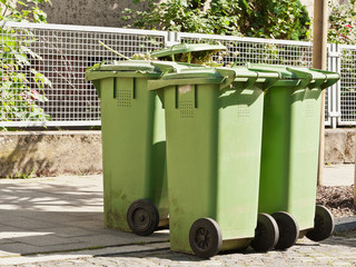 Grüne Mülltonnen für Bioabfall stehen am Strassenrand