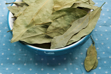 laurel on vintage background