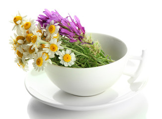 Obraz na płótnie Canvas Beautiful wild flowers in .cup, isolated on white