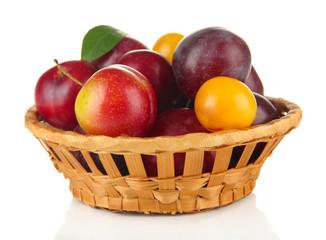 Ripe plums in basket isolated on white