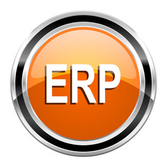 erp icon