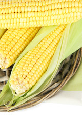 Crude corns on wicker tray isolated on white