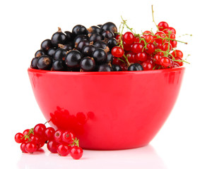 Red and black currant in bowl isolated on white