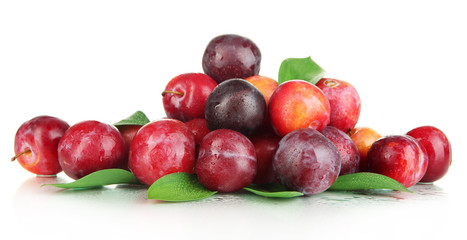 Ripe plums isolated on white