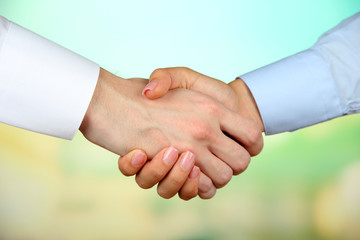 Business handshake on bright background