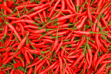 red chilli
