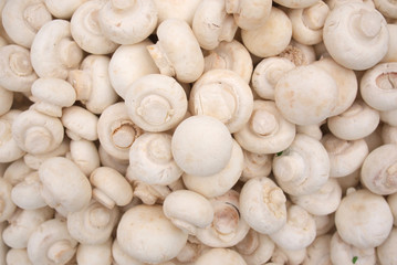 white mushrooms