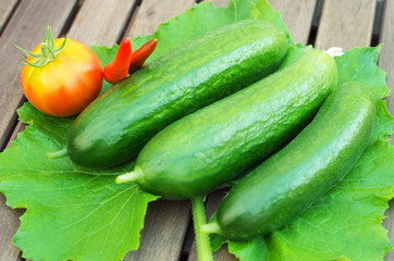 Three green cucumbers