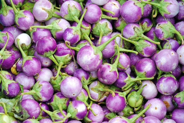 purple eggplants - 55575765