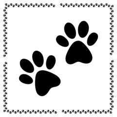 paw prints