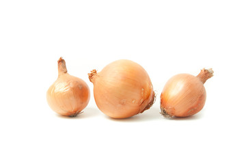 onion on white